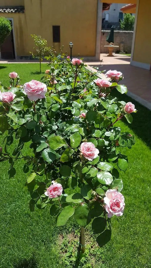 Casa vacanze Villa Le Rose di Modica